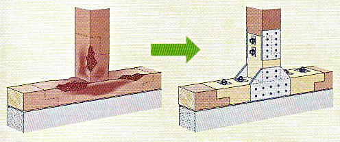 �w�������ށx�̌���