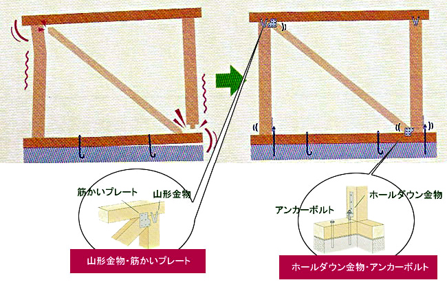 �w�ڍ����x�̕⋭�q�⋭�����r